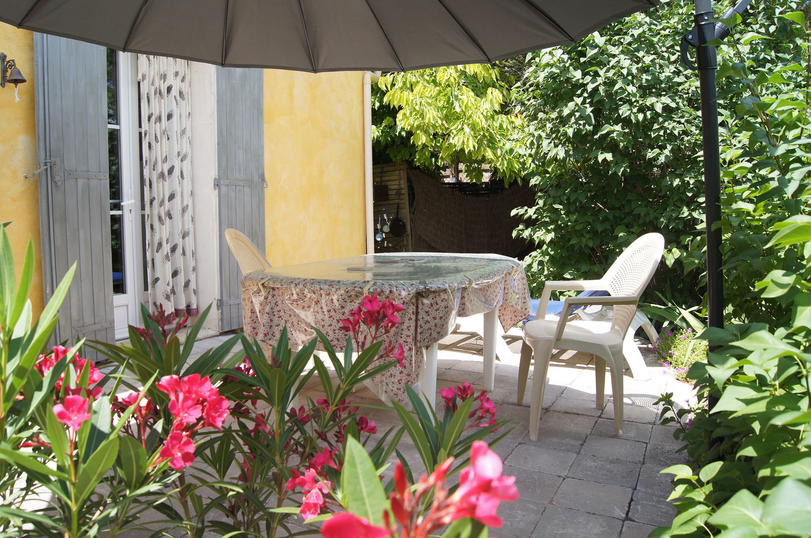 Estudio Independiente Gargas 48964