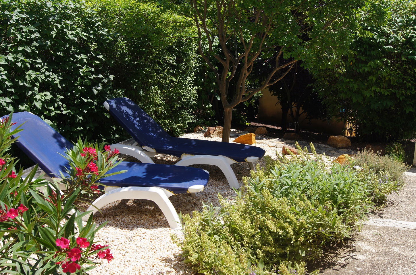 Estudio Independiente Gargas 48964