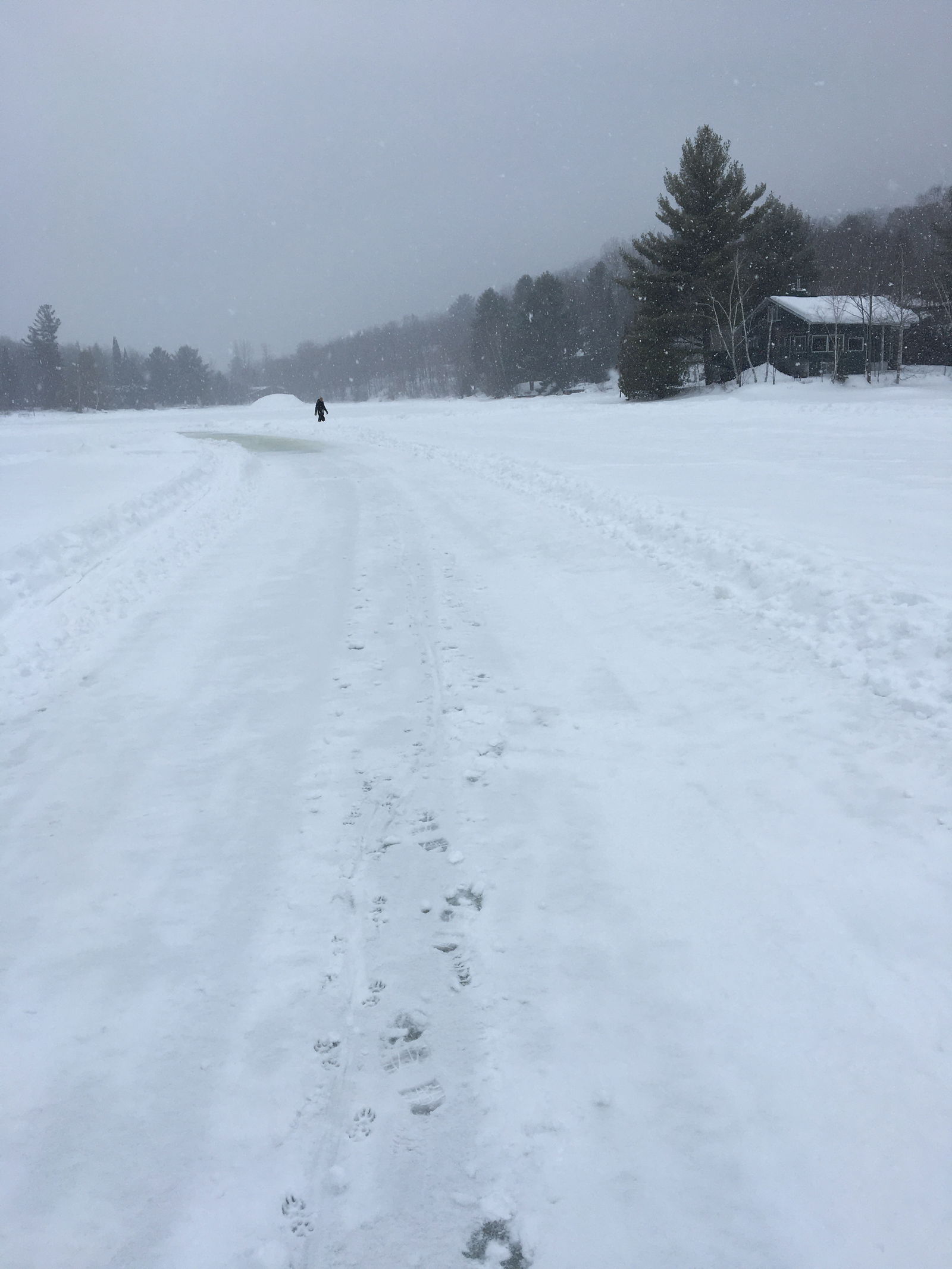 Estudio Independiente Prévost 466272