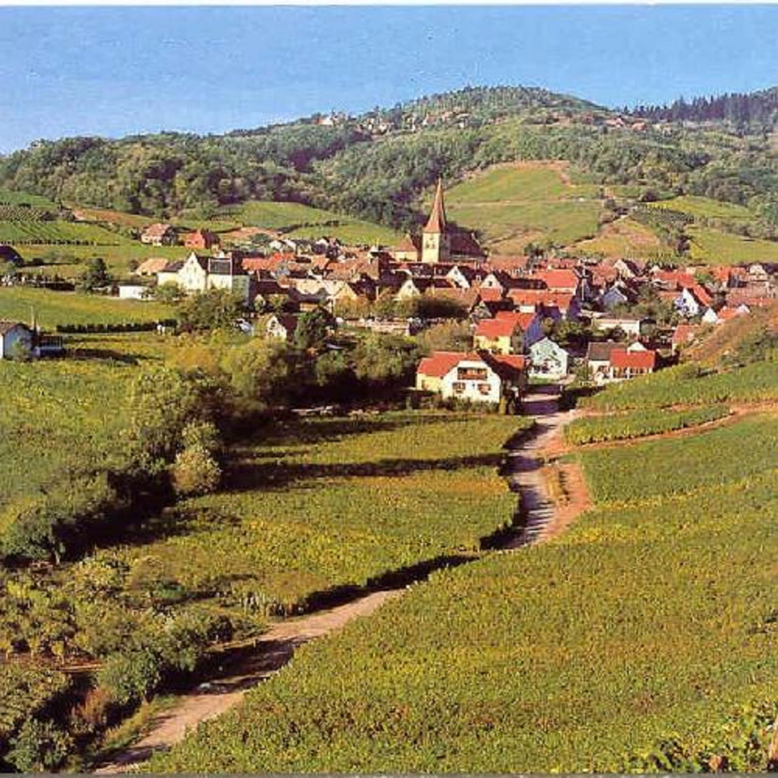 Estudio Independiente Niedermorschwihr 64044