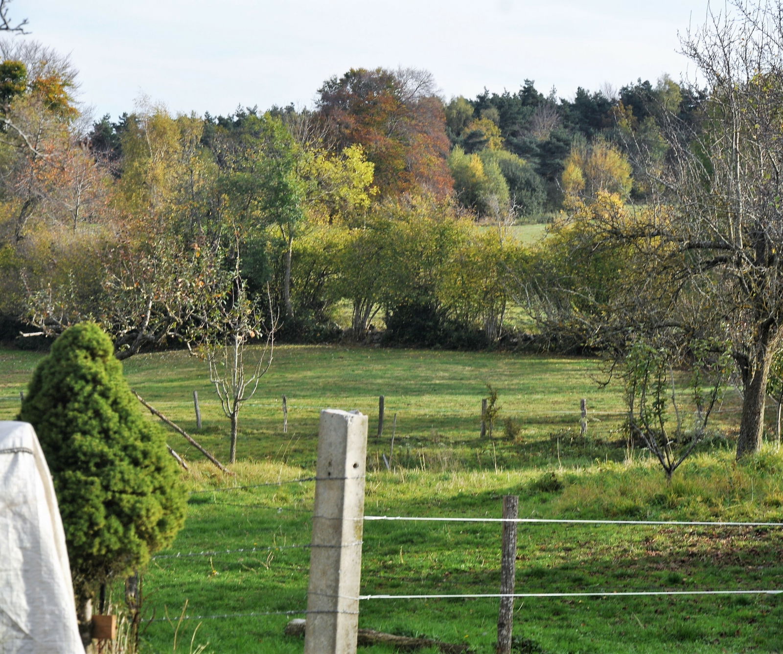 Estudio Independiente La Chapelle-Laurent 237496