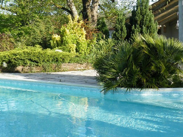 Estudio Independiente Saint-Cirice 49732