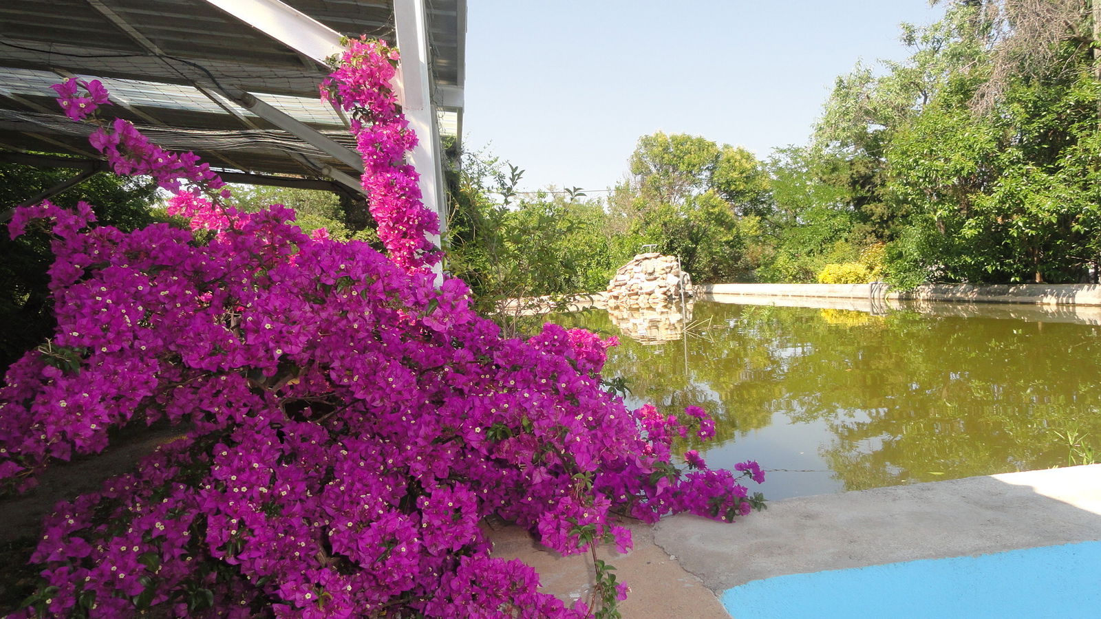 Estudio Independiente Claira 85667