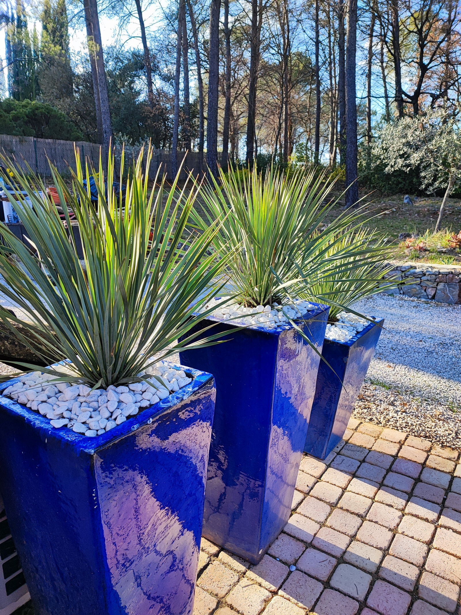 Estudio Independiente Les Arcs 96837