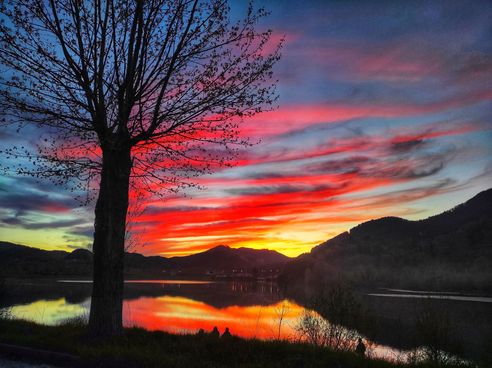 Studio Indépendant Provincia di Cosenza 267203