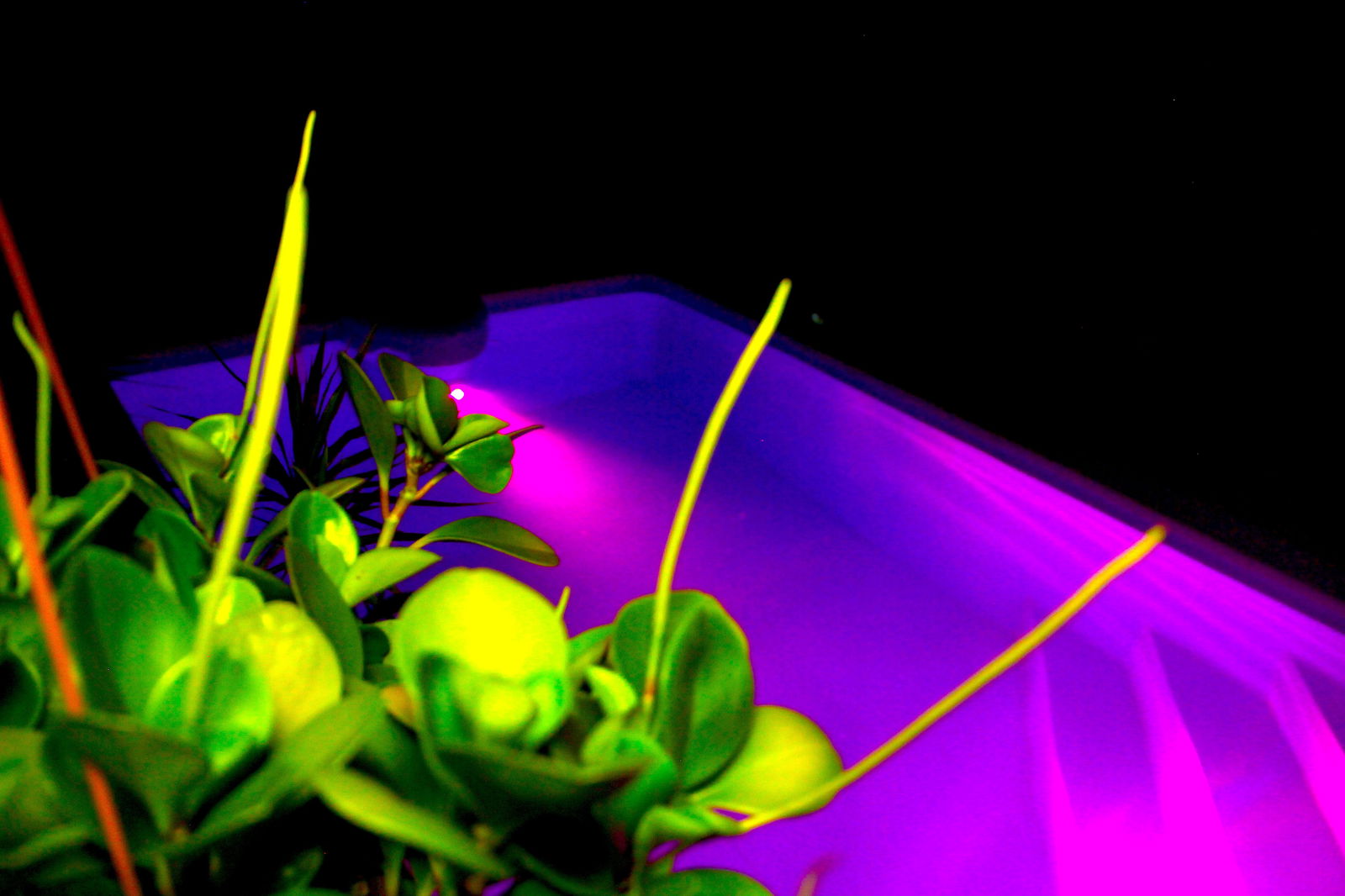 Gastfamilie Fort-de-France 108983