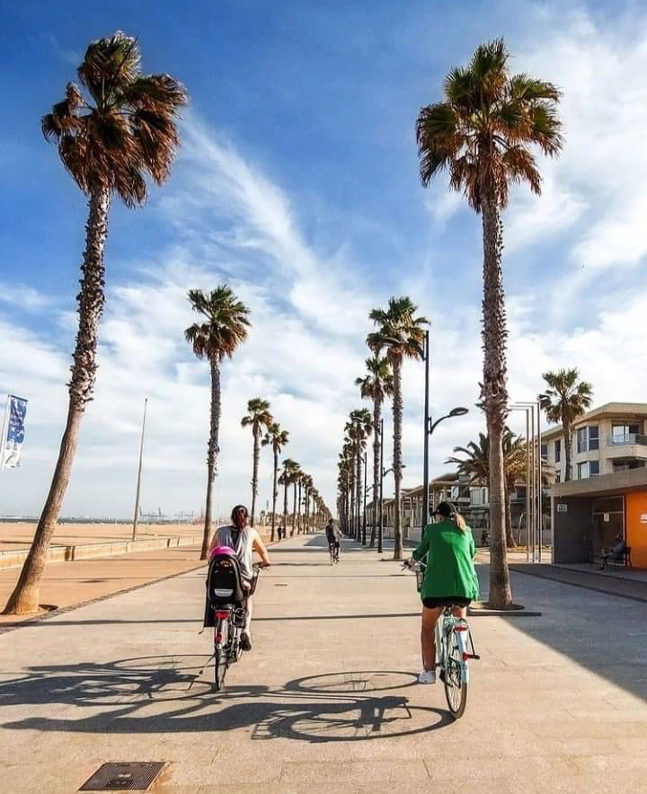 Itsenäinen Studio València 267037