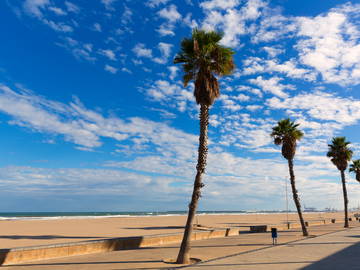 Logement Entier València 267037-9