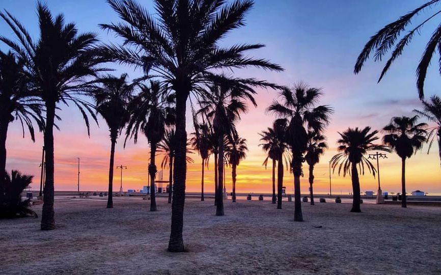 Independent Studio València 267037