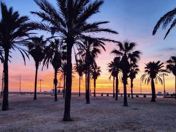 Logement Entier València 267037-12