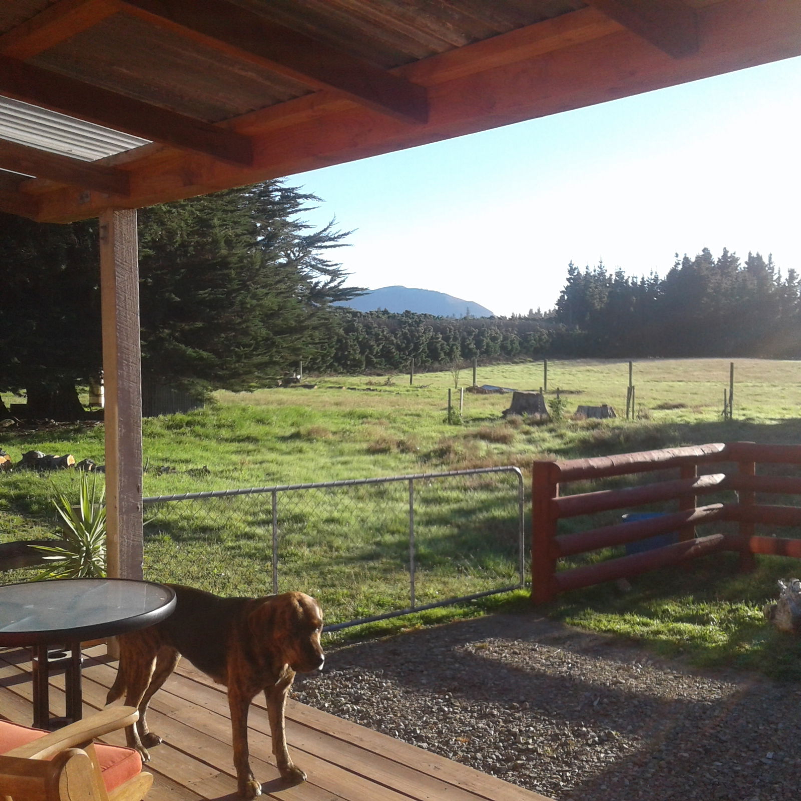 Famiglia Loburn 197695