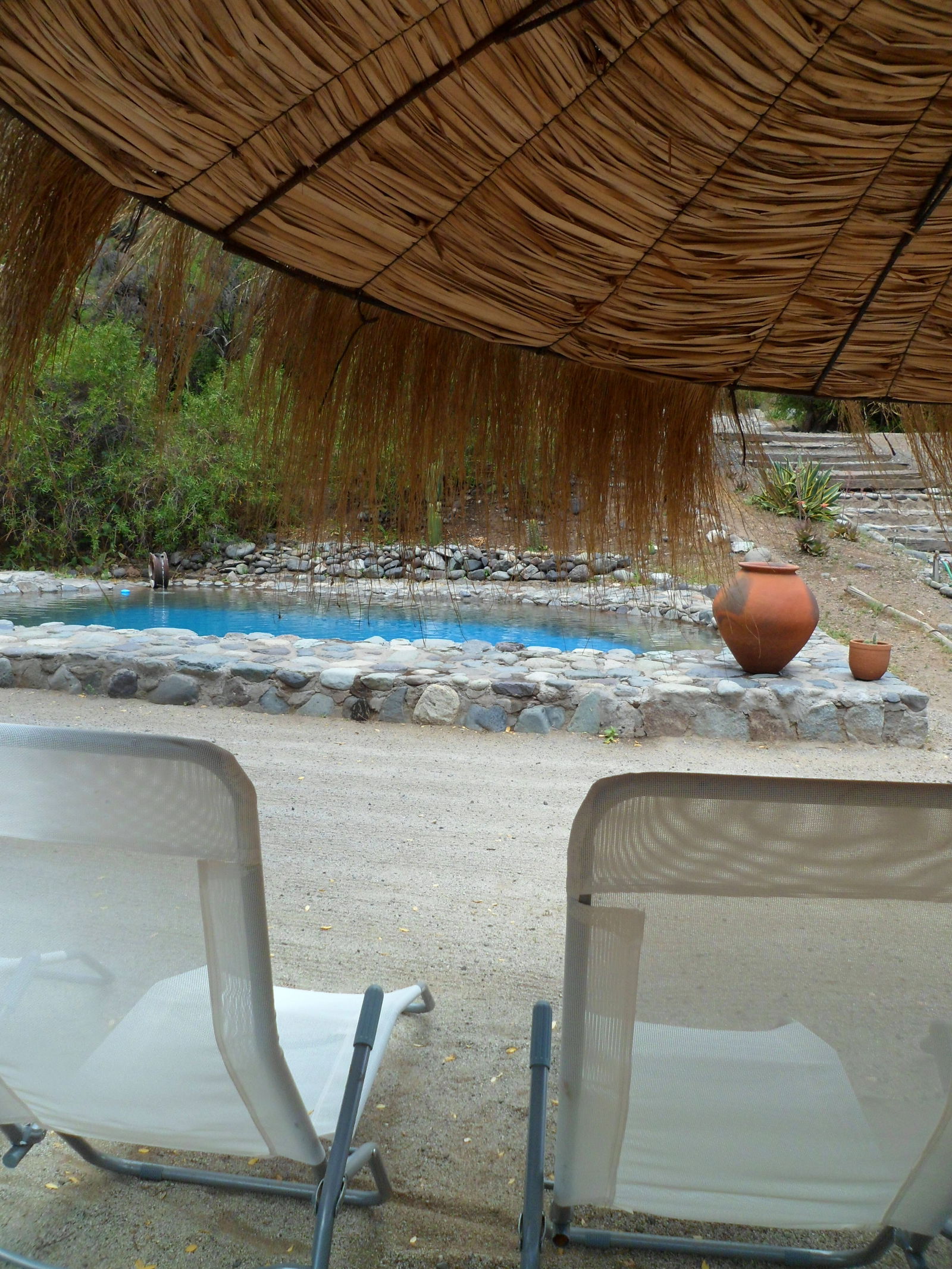 Famiglia Región Metropolitana 191679