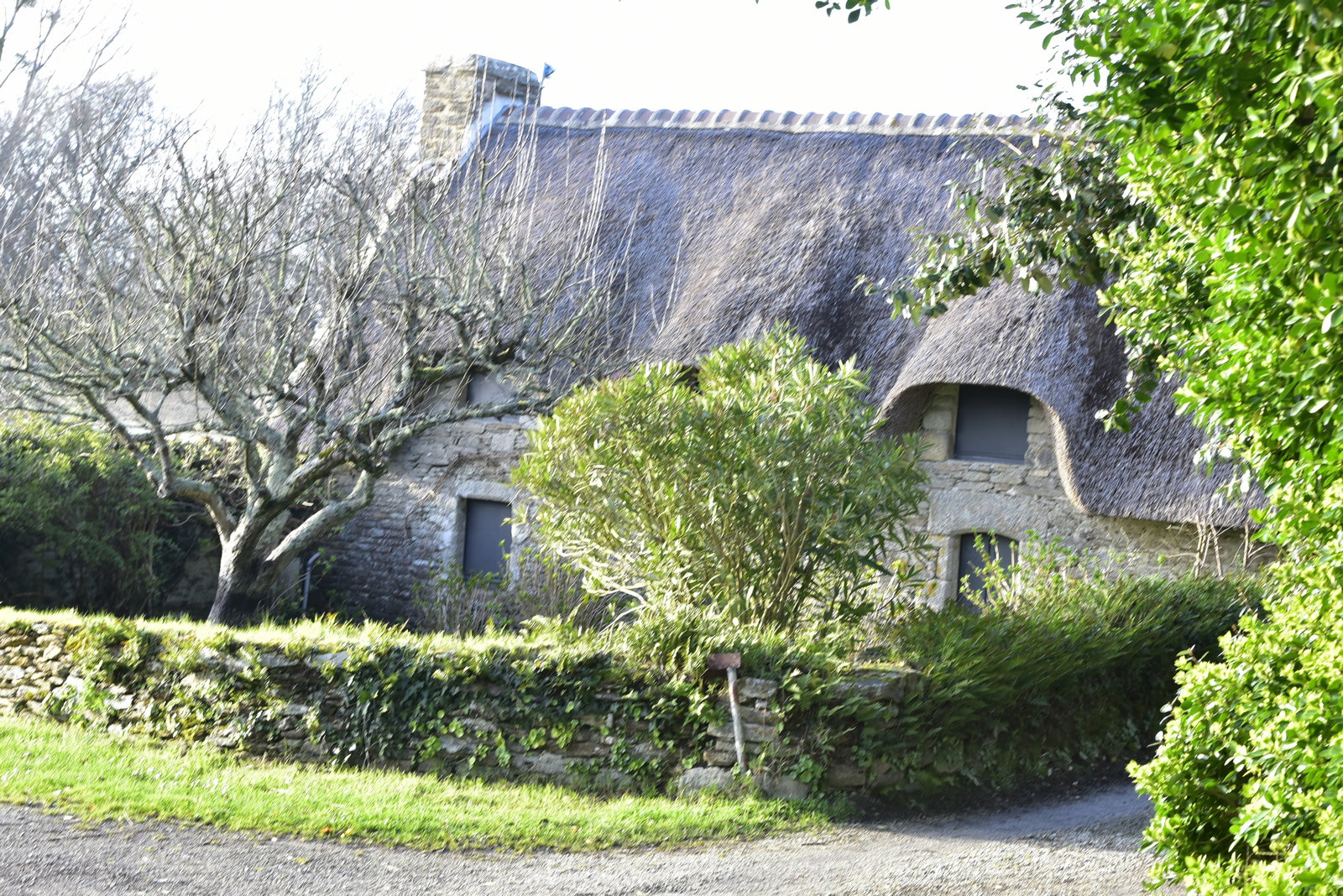 Gastenkamers Clohars-Carnoët 456654