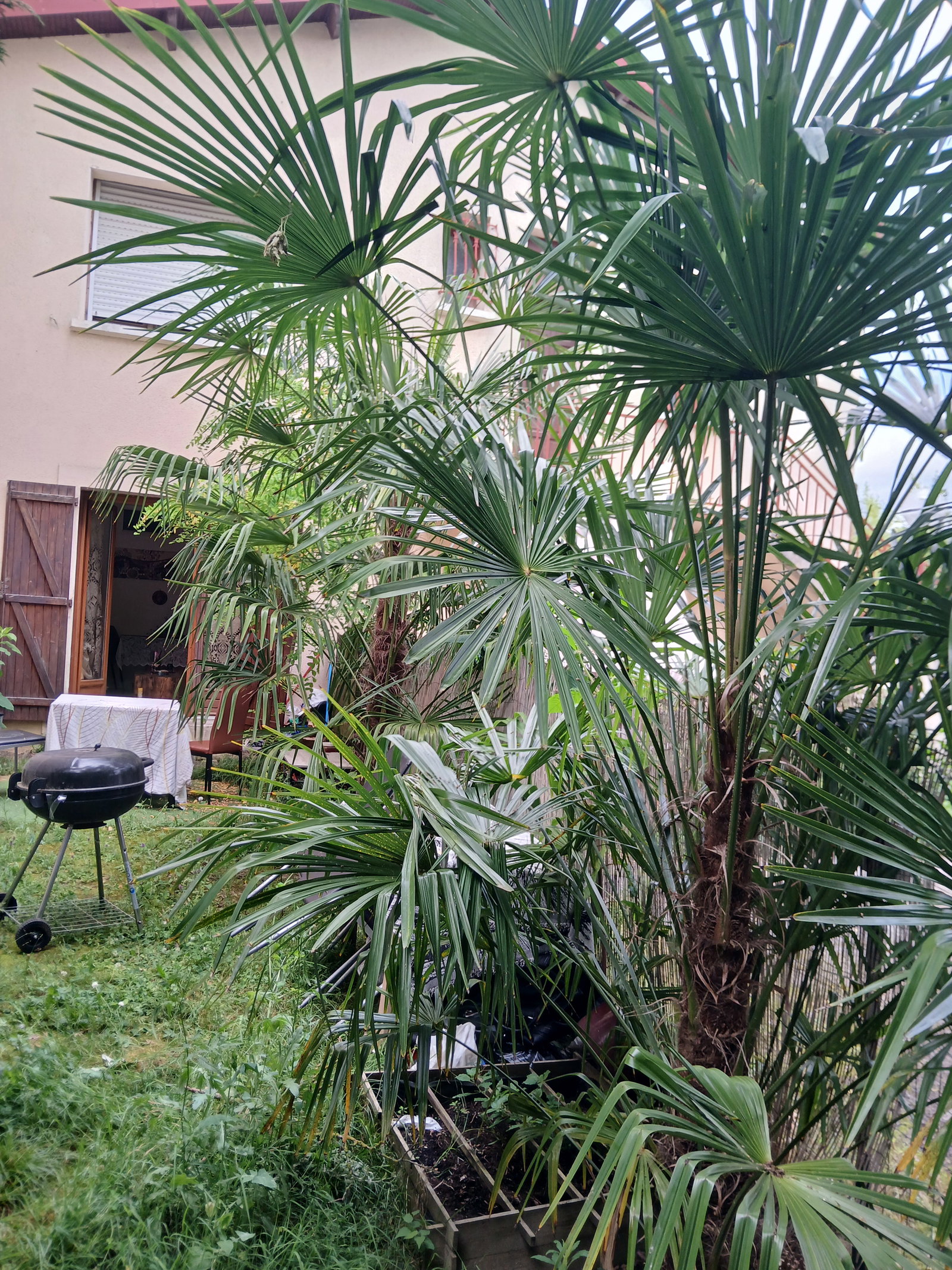 Hospedagem Em Casa De Família Toulouse 451253