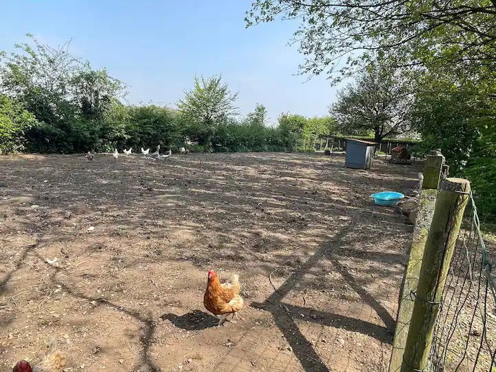 Famiglia Roquetoire 362747