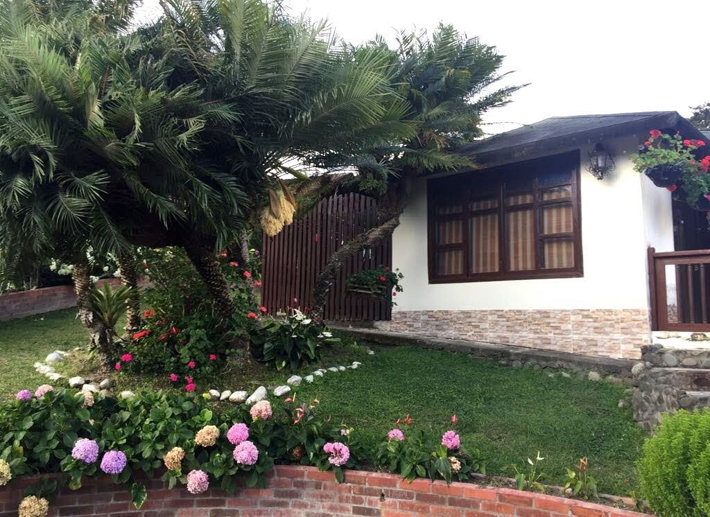 Unabhängiges Studio Cali 219672