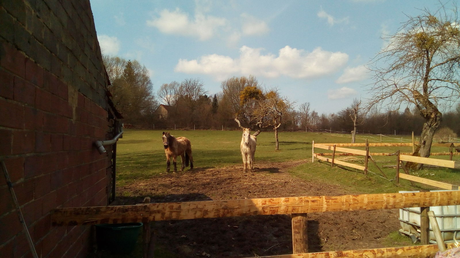 Zakwaterowanie U Rodziny Cosges 163998