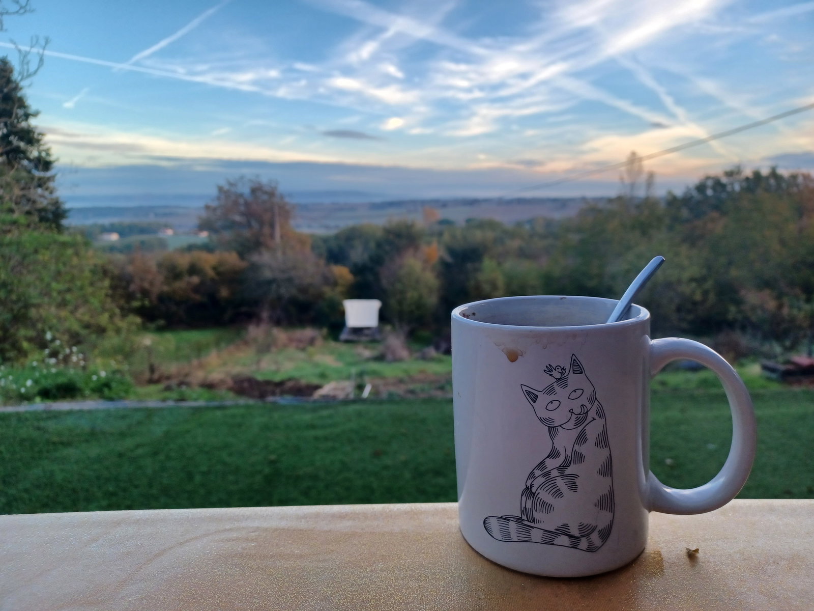 Homestay Montastruc-la-Conseillère 241871