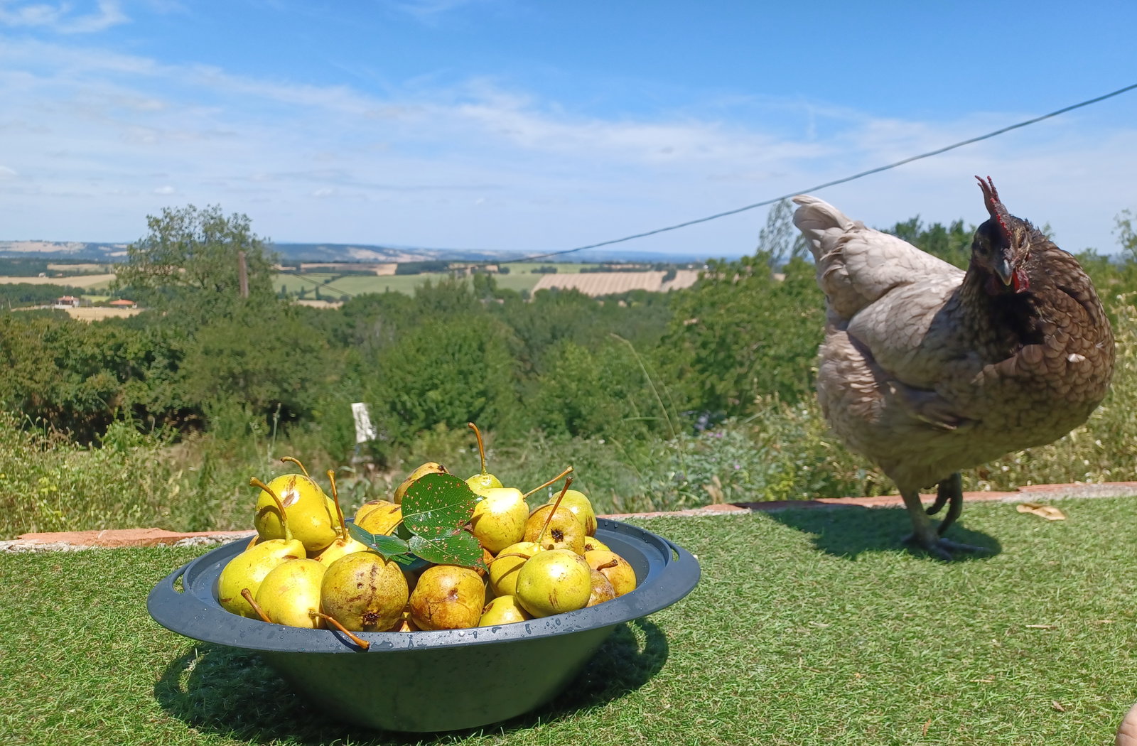 Homestay Montastruc-la-Conseillère 241871