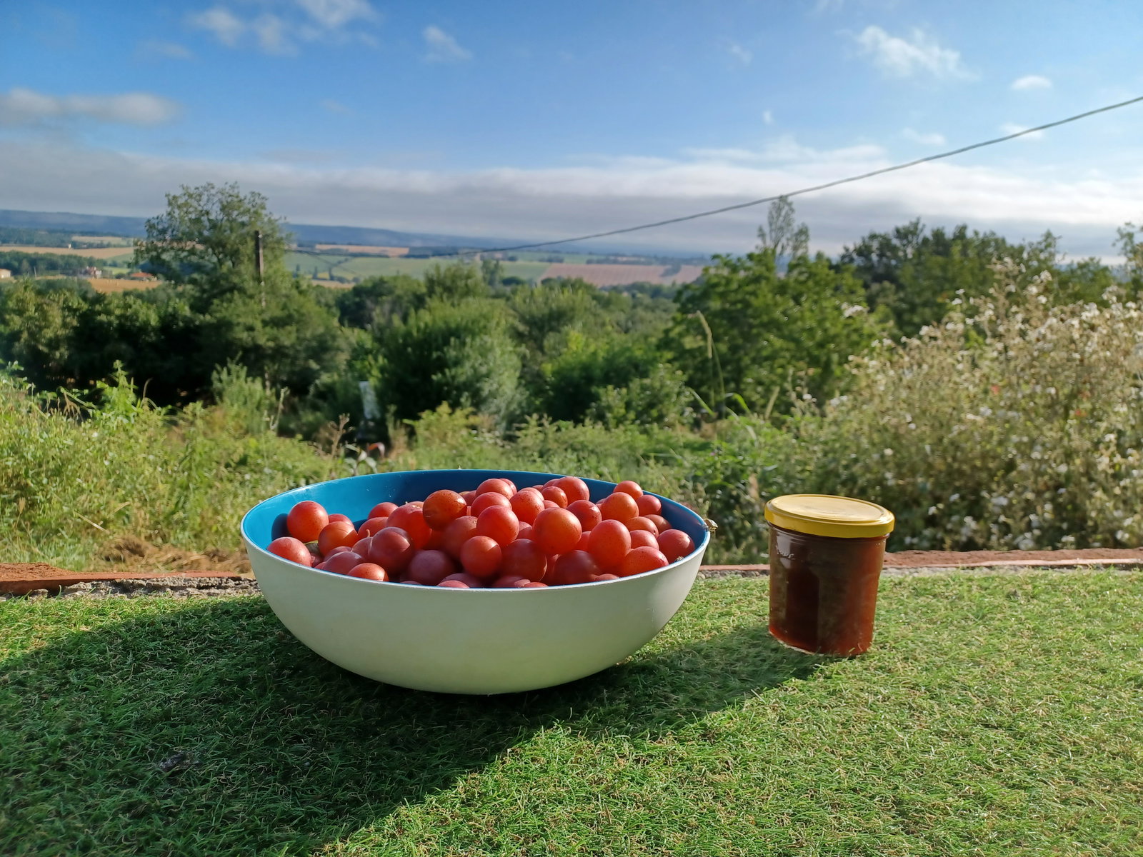 Homestay Montastruc-la-Conseillère 241871