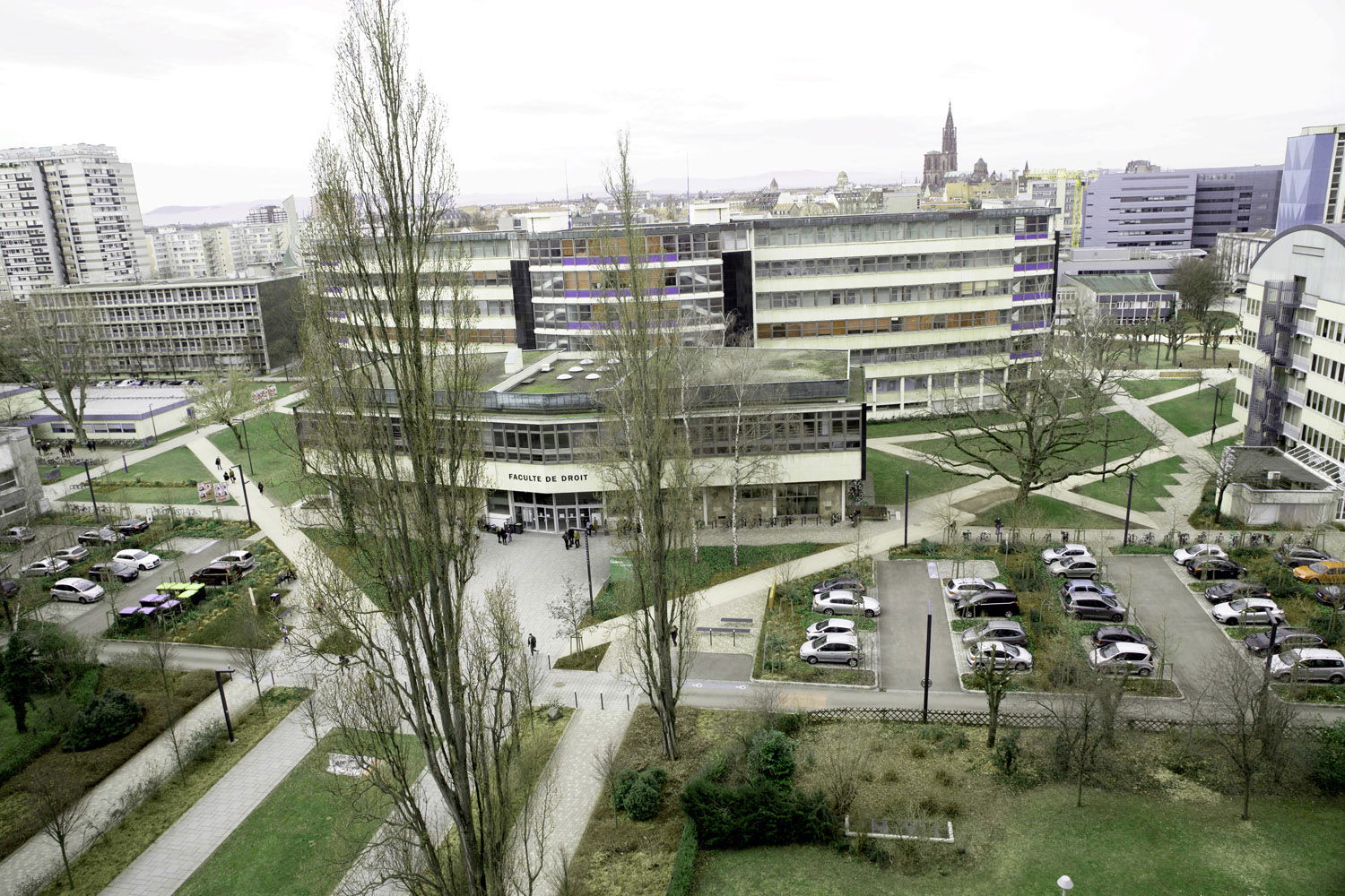 Colocation Strasbourg 264612