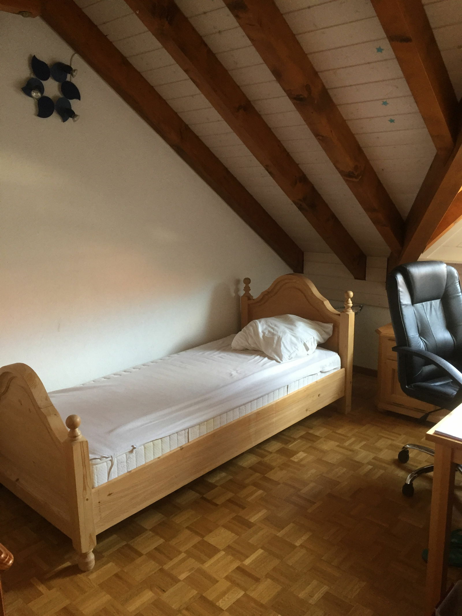Chambre Chez L'habitant Satigny 176380