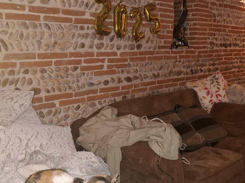 Quedarse En Casa Montastruc-la-Conseillère 241871-3