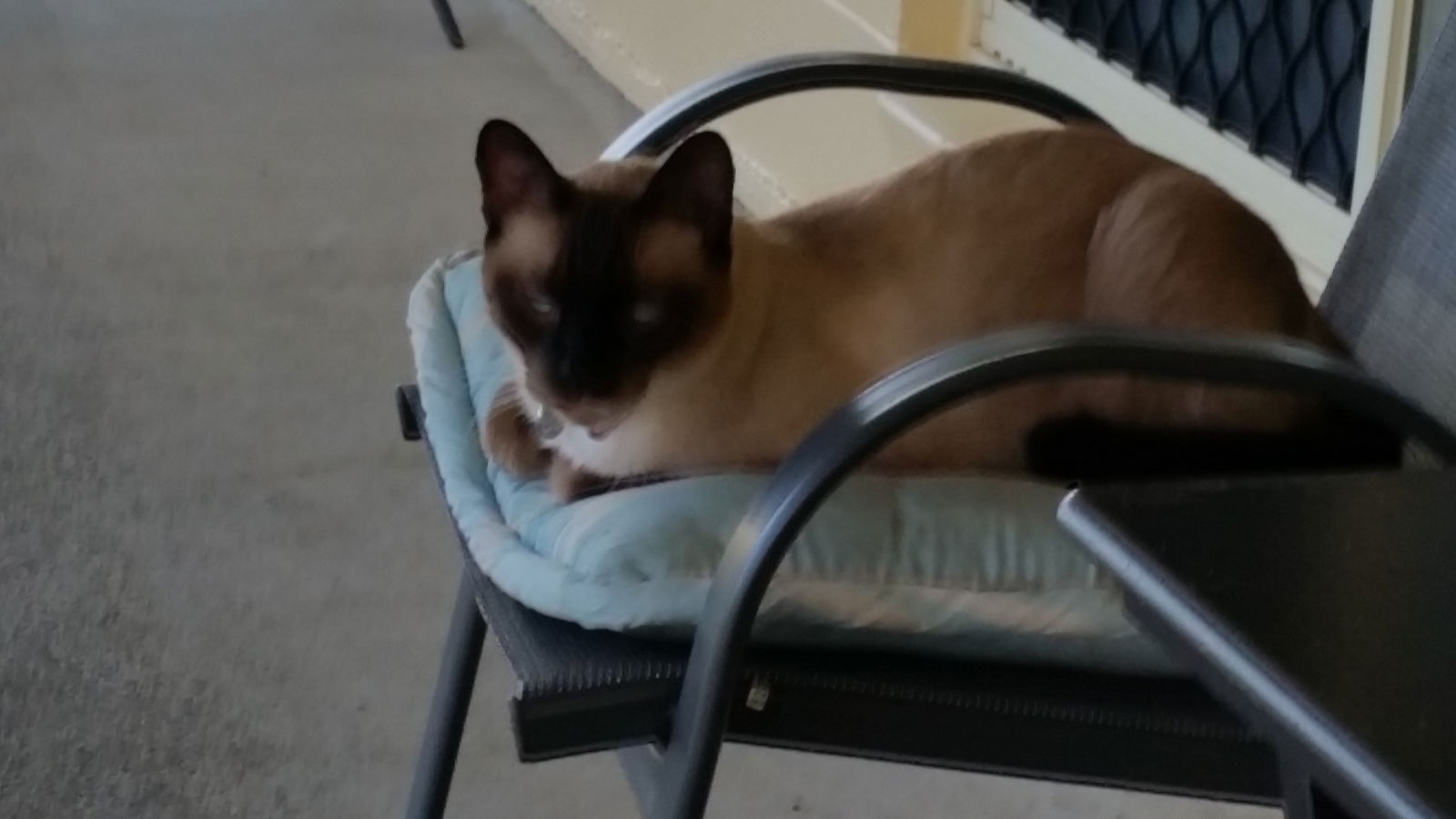 Chambre Chez L'habitant Belvedere 154301