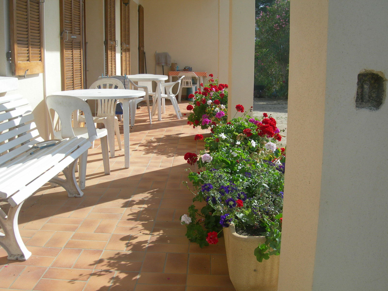 Unabhängiges Studio Calvi 135387