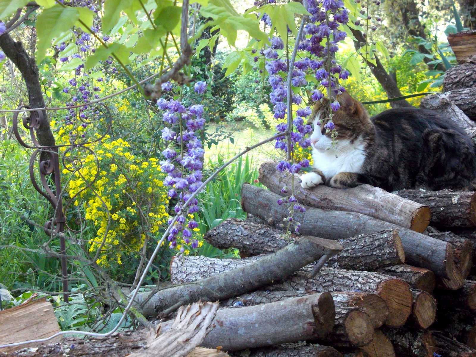 Hospedagem Em Casa De Família Junas 45435