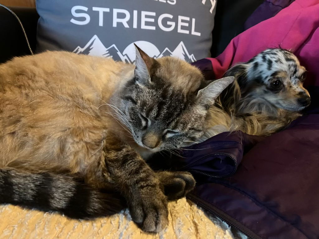 Quartos De Hóspedes Morillon 581733