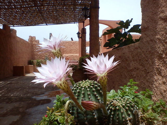 Habitaciones De Huéspedes Ouarzazate 18137