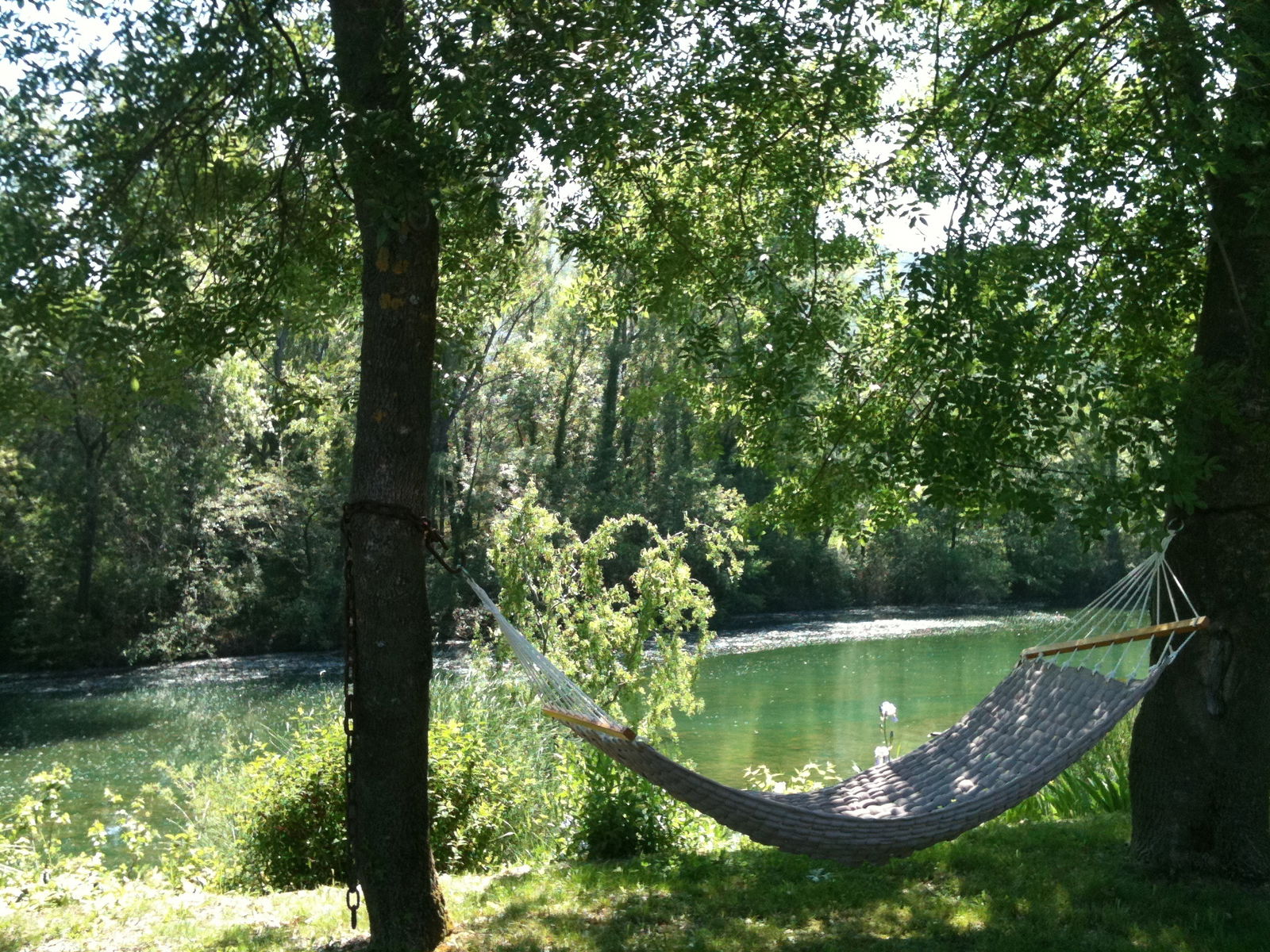 Quedarse En Casa Sauve 99849