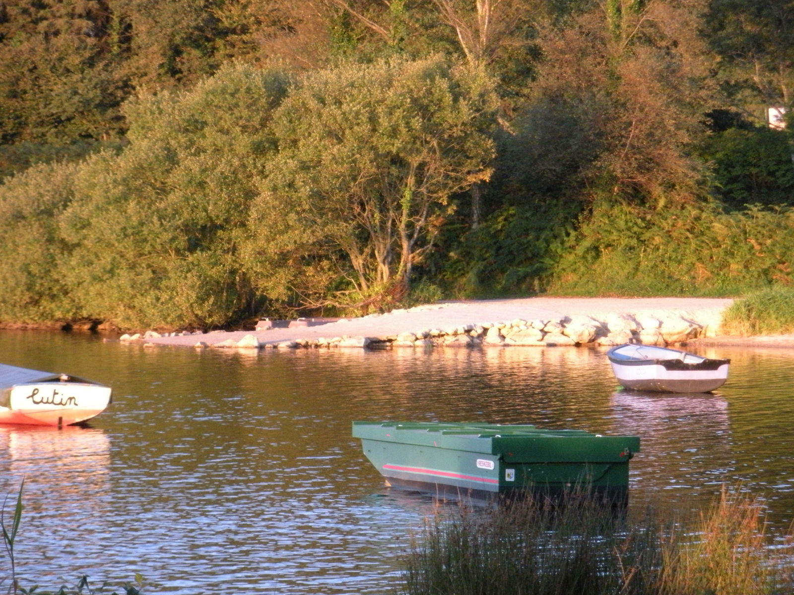 Quedarse En Casa Botmeur 61381