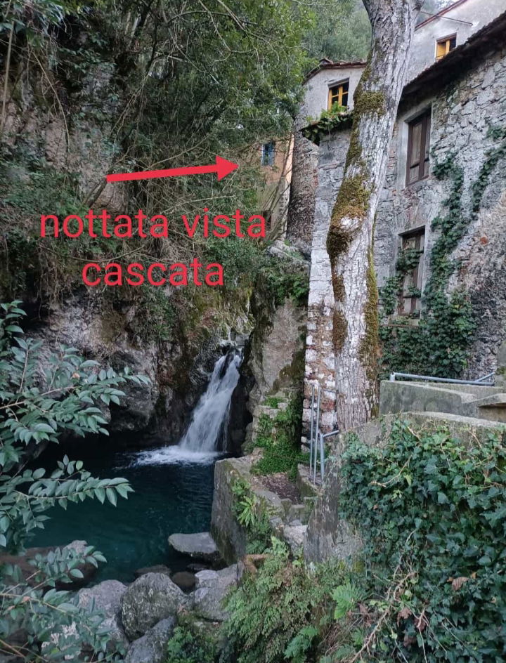 Colocación Provincia di Lucca 267206
