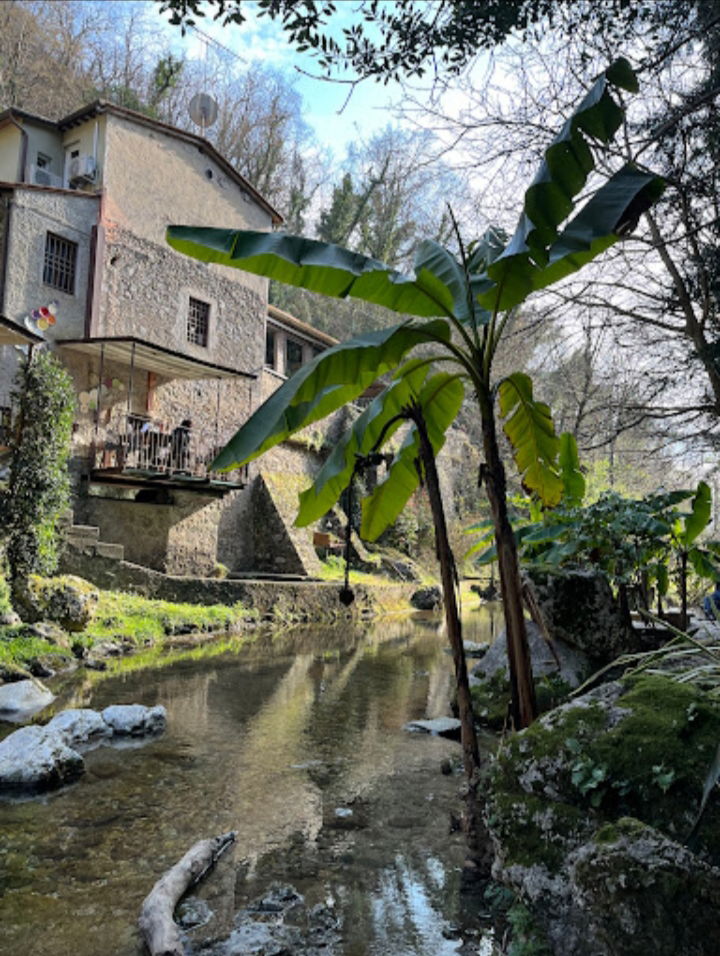 Colocación Provincia di Lucca 267206