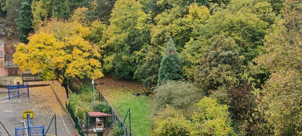 Famiglia Massy 256993