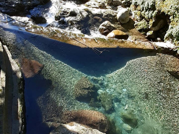 Colocación Provincia di Lucca 267206-1