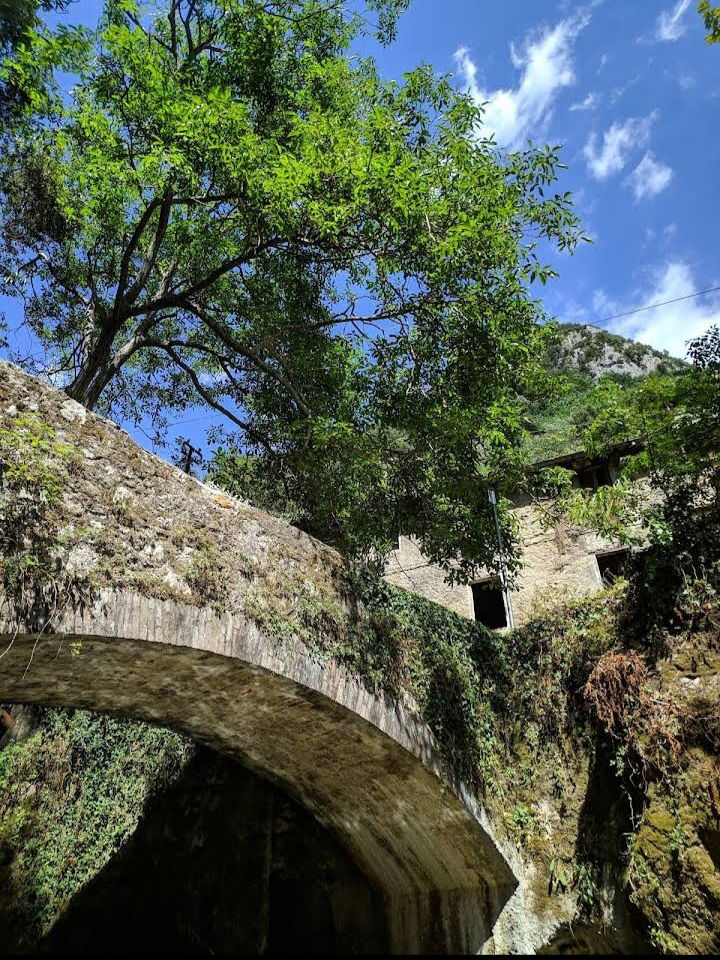 Järjestäminen Provincia di Lucca 267206