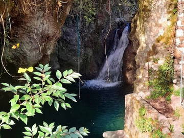 Colocation Provincia Di Lucca 267206-4