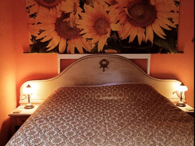 Colocación Provincia di Lucca 267206-5