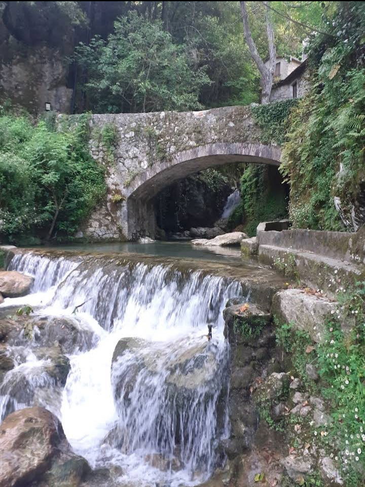 Järjestäminen Provincia di Lucca 267206