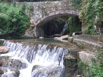 Colocation Provincia Di Lucca 267206-8