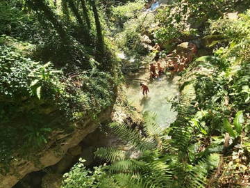 Colocation Provincia Di Lucca 267206-10