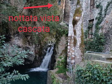 Colocation Provincia Di Lucca 267206-11