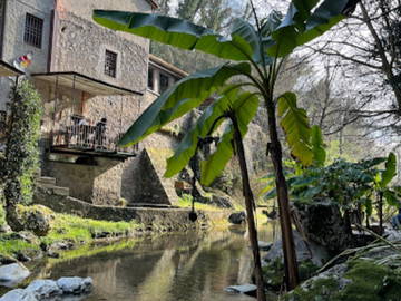 Colocation Provincia Di Lucca 267206-12