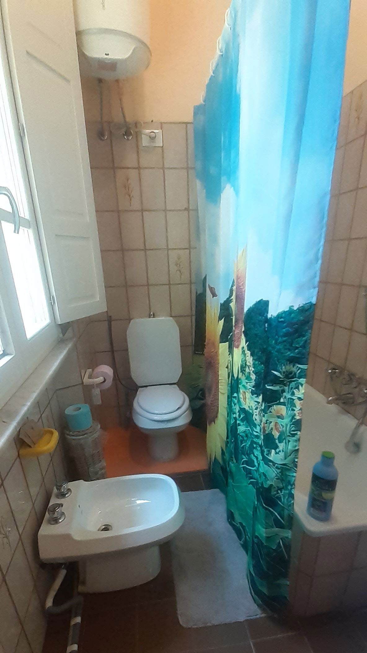 Järjestäminen Provincia di Lucca 267206