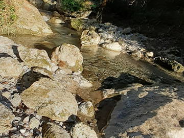 Colocation Provincia Di Lucca 267206-20