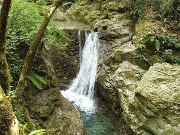 Colocation Provincia Di Lucca 267206-21