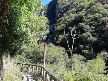 Colocation Provincia Di Lucca 267206-22